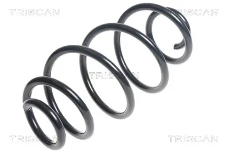 Пружина ходовой части TRISCAN 875015202