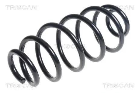 Пружина ходовой части TRISCAN 875015203