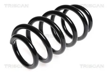 Пружина ходовой части TRISCAN 875015205