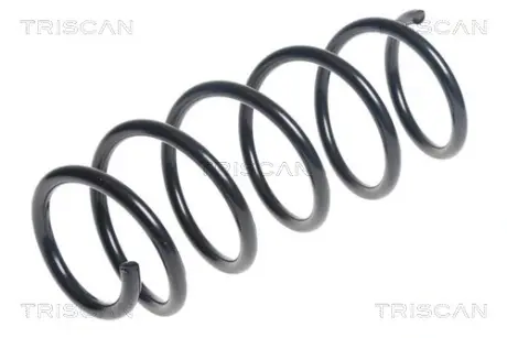 Пружина ходовой части TRISCAN 875015206