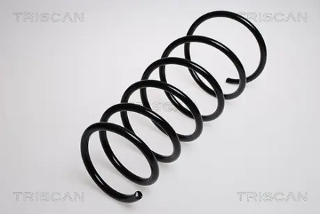 Пружина ходовой части TRISCAN 87501563