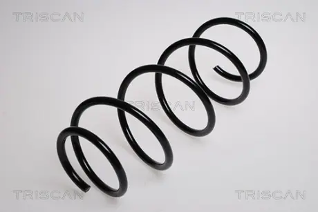 Пружина ходовой части TRISCAN 87501572