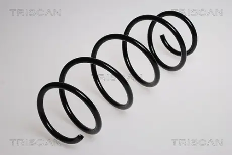 Пружина ходовой части TRISCAN 87501573