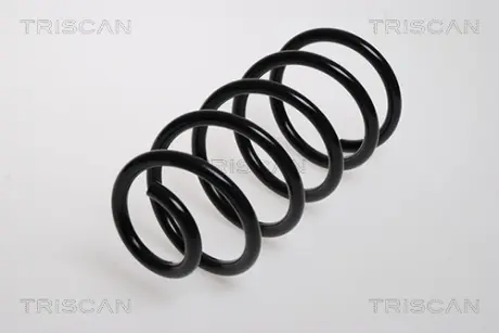 Пружина ходовой части TRISCAN 87501581