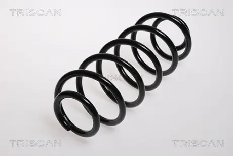 Пружина ходовой части TRISCAN 87501594
