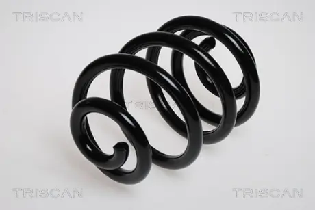 Пружина ходовой части TRISCAN 875016004