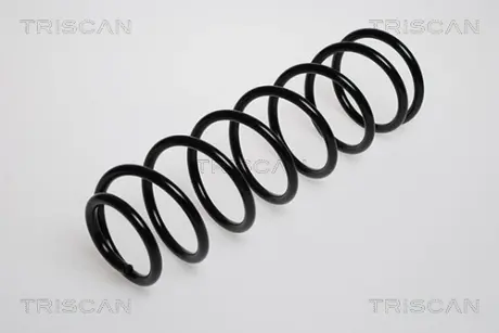 Пружина ходовой части TRISCAN 875016005