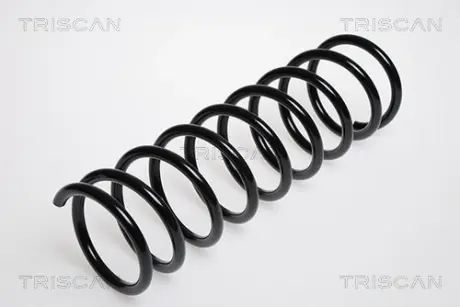 Пружина ходовой части TRISCAN 875016006