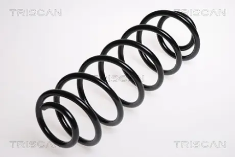 Пружина ходовой части TRISCAN 875016009