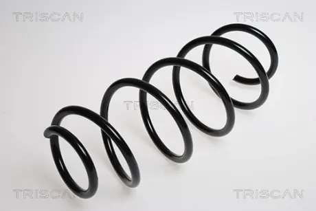 Пружина ходовой части TRISCAN 875016010