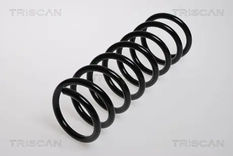 Пружина ходовой части TRISCAN 875016012