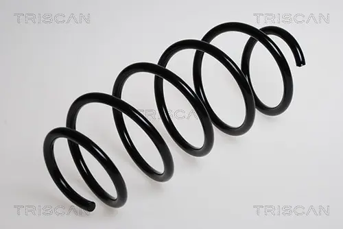Пружина ходовой части TRISCAN 875016016 (фото 1)