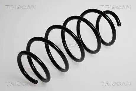 Пружина ходовой части TRISCAN 875016016