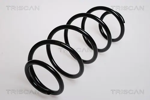 Пружина ходовой части TRISCAN 875016025 (фото 1)