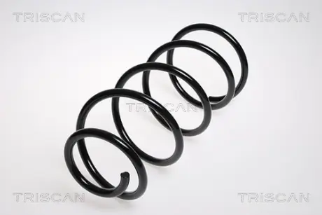 Пружина ходовой части TRISCAN 875016041