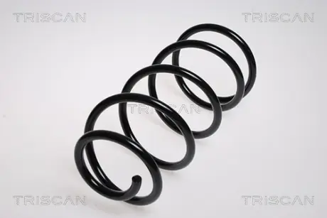 Пружина ходовой части TRISCAN 875016043