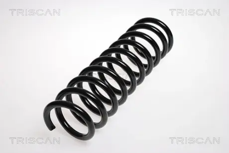 Пружина ходовой части TRISCAN 875016045