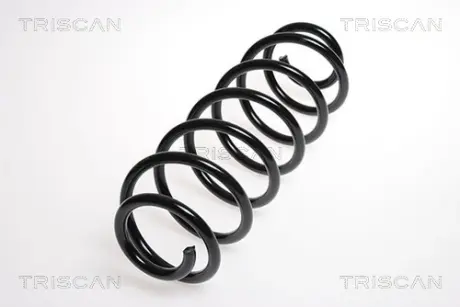 Пружина ходовой части TRISCAN 875016046