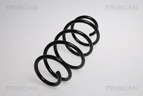 Пружина ходовой части TRISCAN 875016049