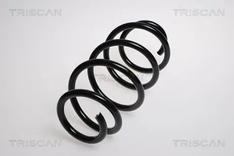 Пружина ходовой части TRISCAN 875016050