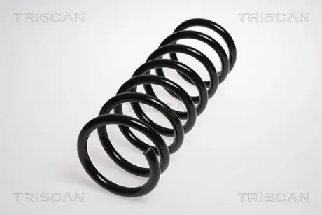 Пружина ходовой части TRISCAN 875016051