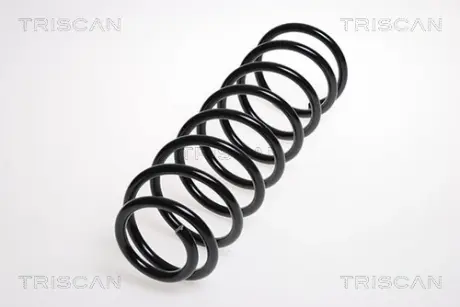 Пружина ходовой части TRISCAN 875016054