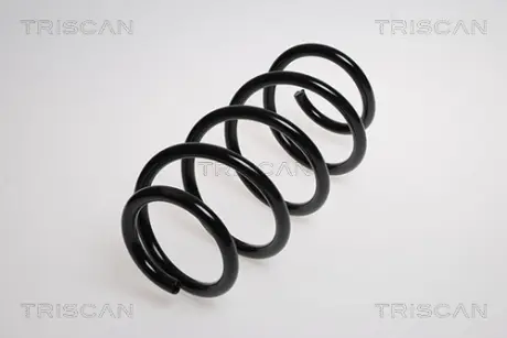 Пружина ходовой части TRISCAN 875016056