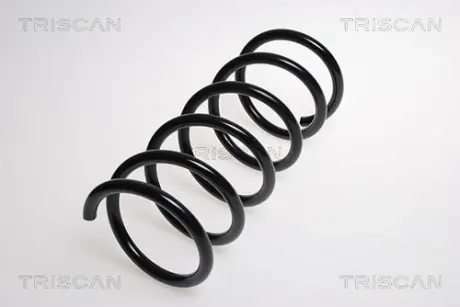 Пружина ходовой части TRISCAN 875016058