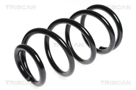 Пружина ходовой части TRISCAN 875016069