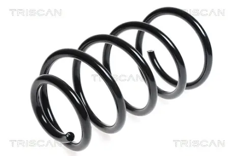 Пружина ходовой части TRISCAN 875016070