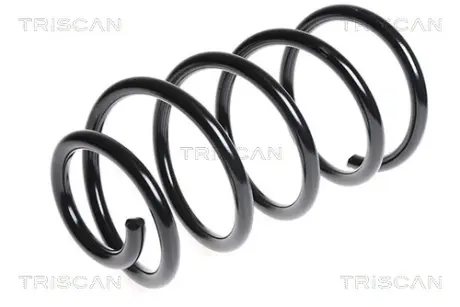 Пружина ходовой части TRISCAN 875016071