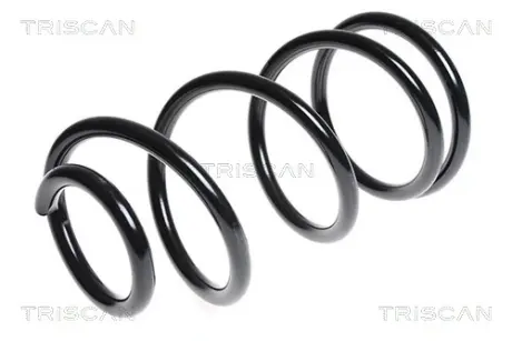 Пружина ходовой части TRISCAN 875016076