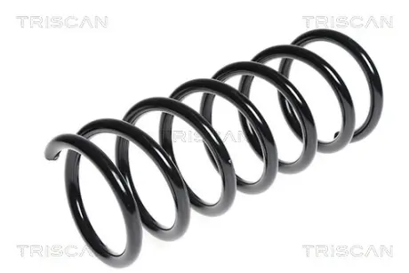 Пружина ходовой части TRISCAN 875016081