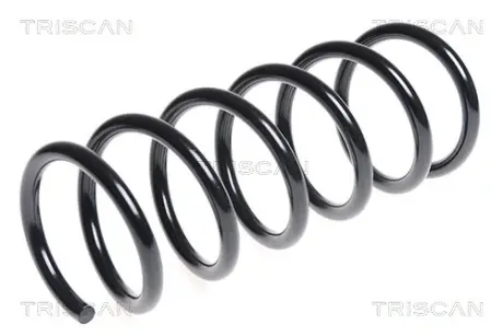 Пружина ходовой части TRISCAN 875016082