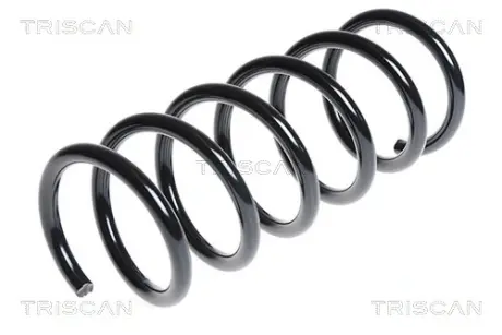 Пружина ходовой части TRISCAN 875016083