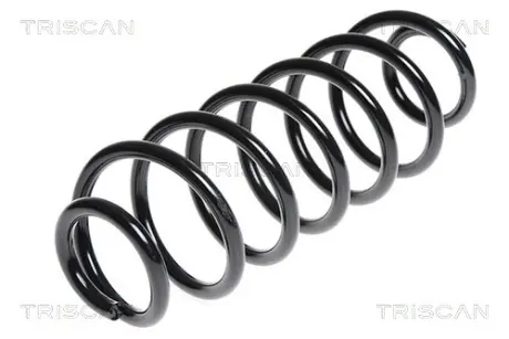 Пружина ходовой части TRISCAN 875016084