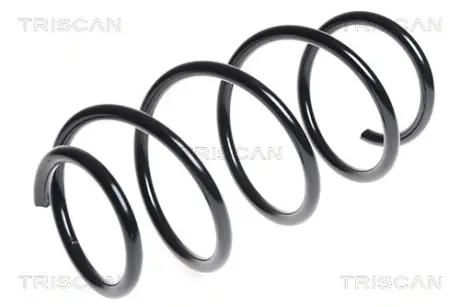 Пружина ходовой части TRISCAN 875016089