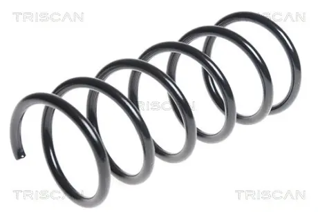 Пружина ходовой части TRISCAN 875016091