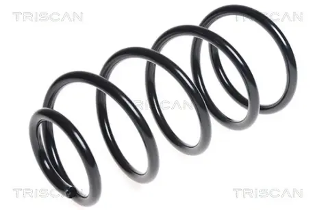 Пружина ходовой части TRISCAN 875016092