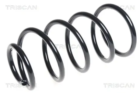 Пружина ходовой части TRISCAN 875016093