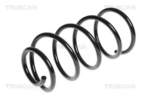 Пружина ходовой части TRISCAN 875016096