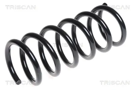 Пружина ходовой части TRISCAN 875016099