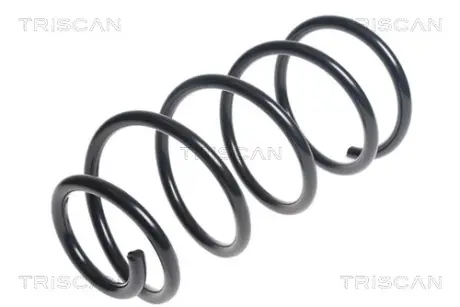 Пружина ходовой части TRISCAN 875016102