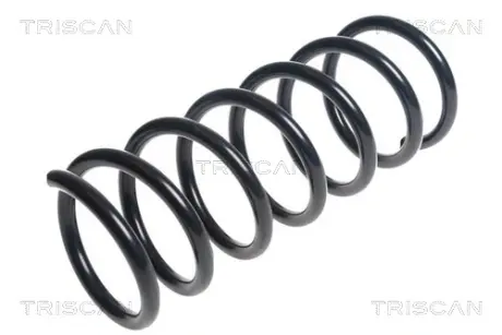 Пружина ходовой части TRISCAN 875016106