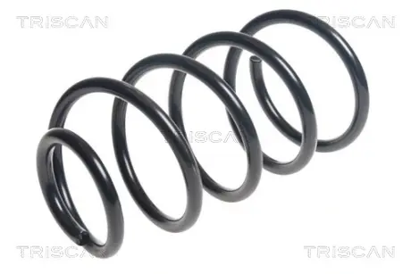 Пружина ходовой части TRISCAN 875016107