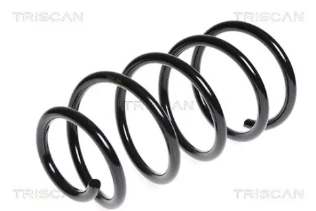 Пружина ходовой части TRISCAN 875016110