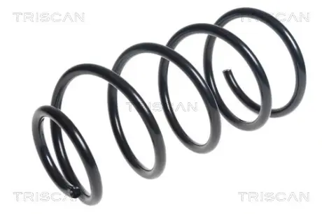 Пружина ходовой части TRISCAN 875016112