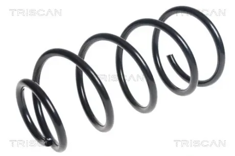Пружина ходовой части TRISCAN 875016113