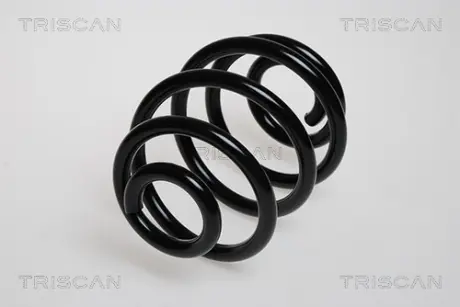 Пружина ходовой части TRISCAN 87501676