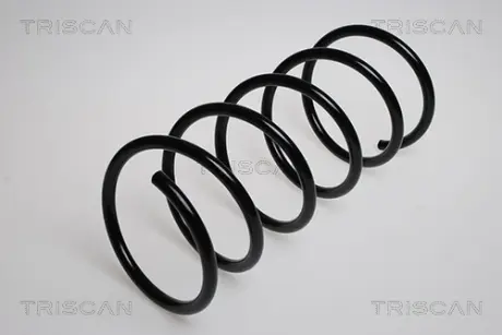 Пружина ходовой части TRISCAN 87501682